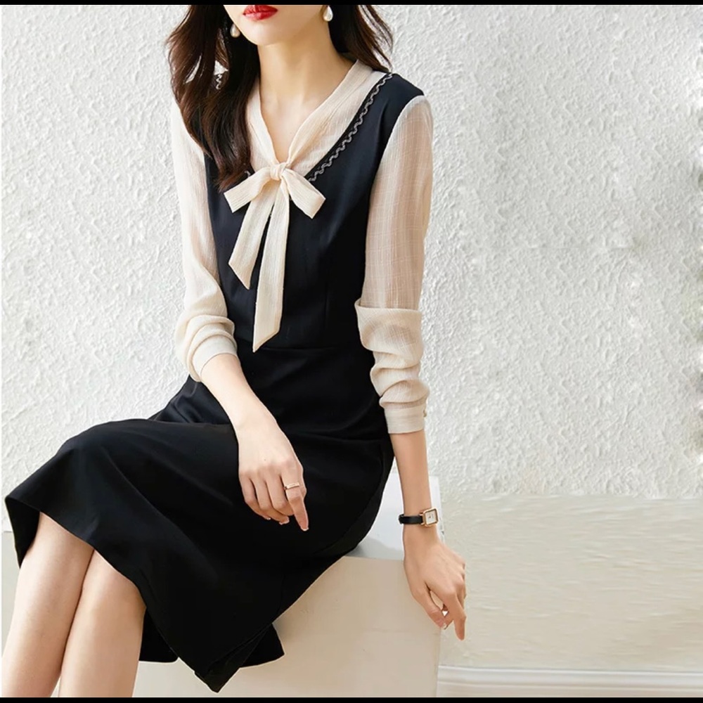 🌺 NEW Vintage French Style A-Line Chiffon Dress